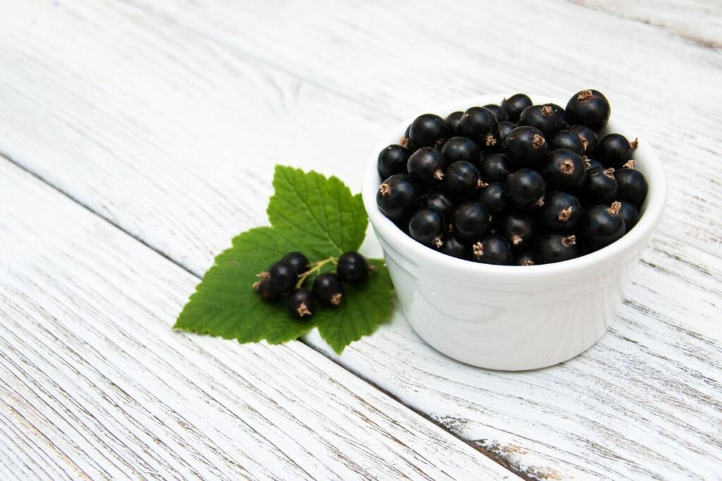 Blackcurrant juice benefits