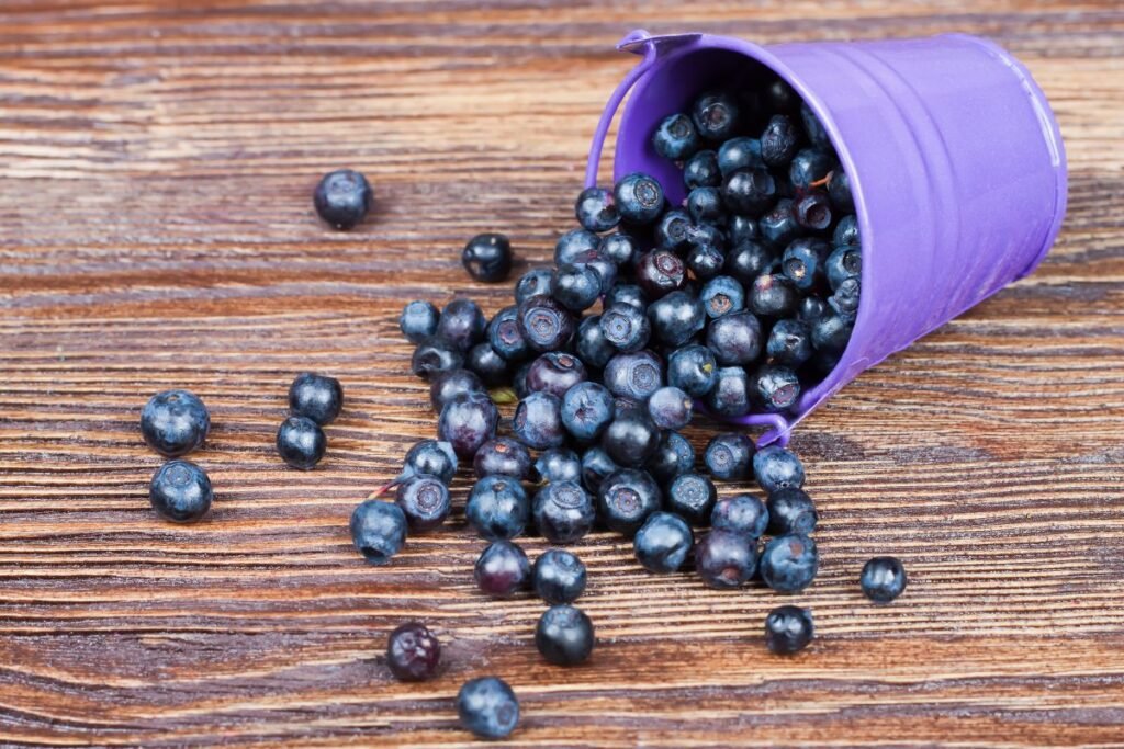 Blueberries from forest