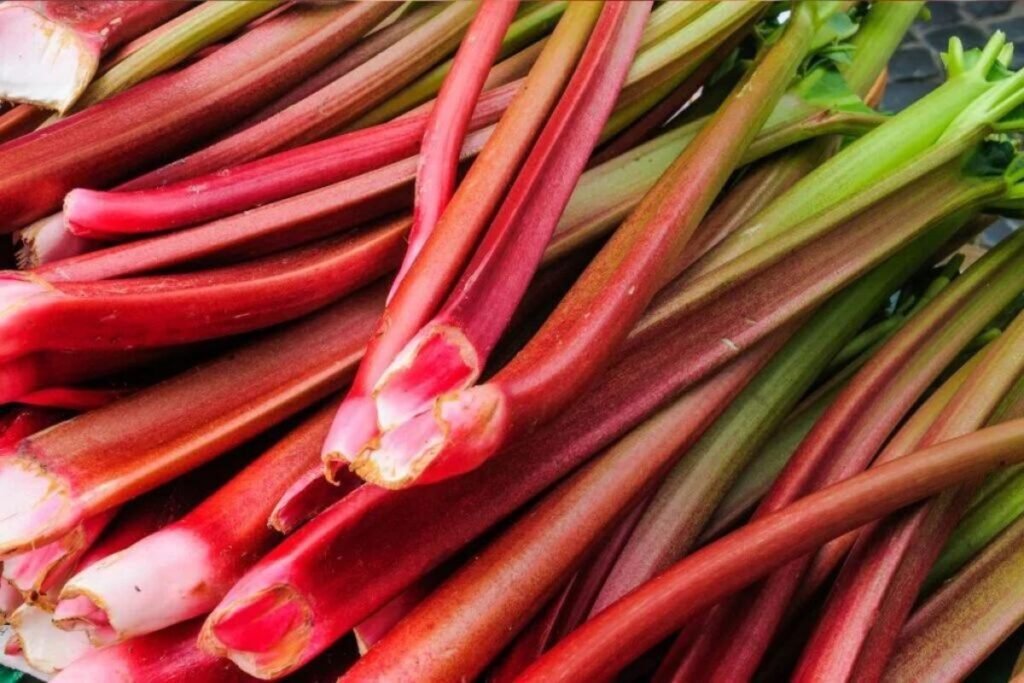 Rhubarb: a source of minerals