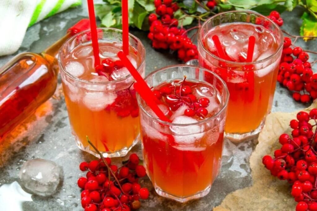 Rowanberry juice benefits and preparation