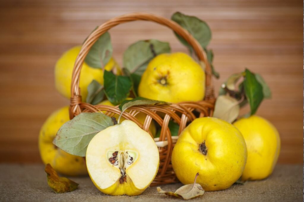 Japanese quince fruits for juice