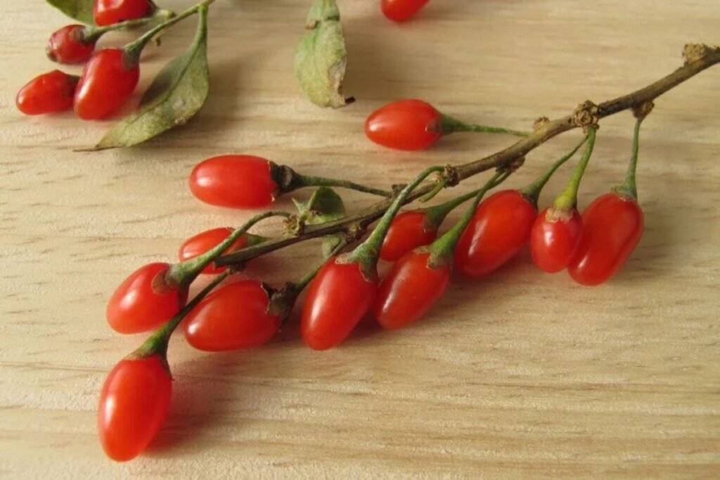 Goji berries for goji berry juice