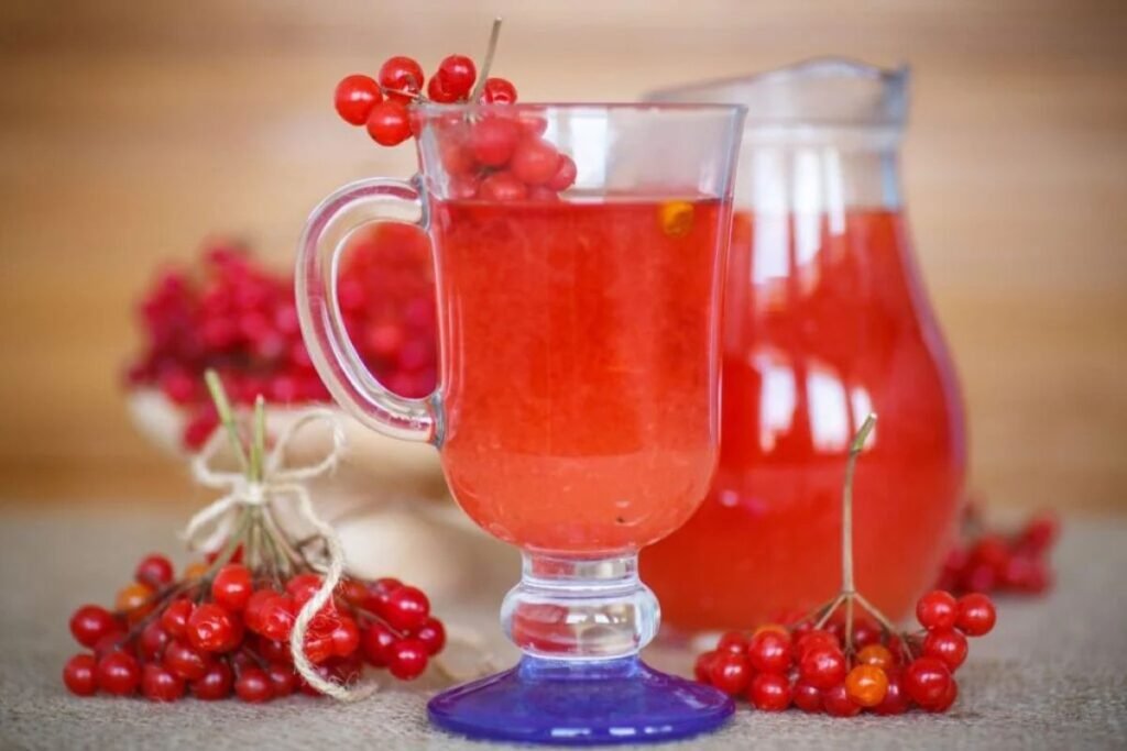 Fresh Guelder Rose Juice benefits