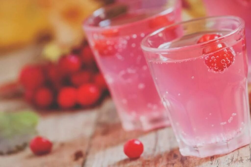 Fermented Guelder Rose Juice