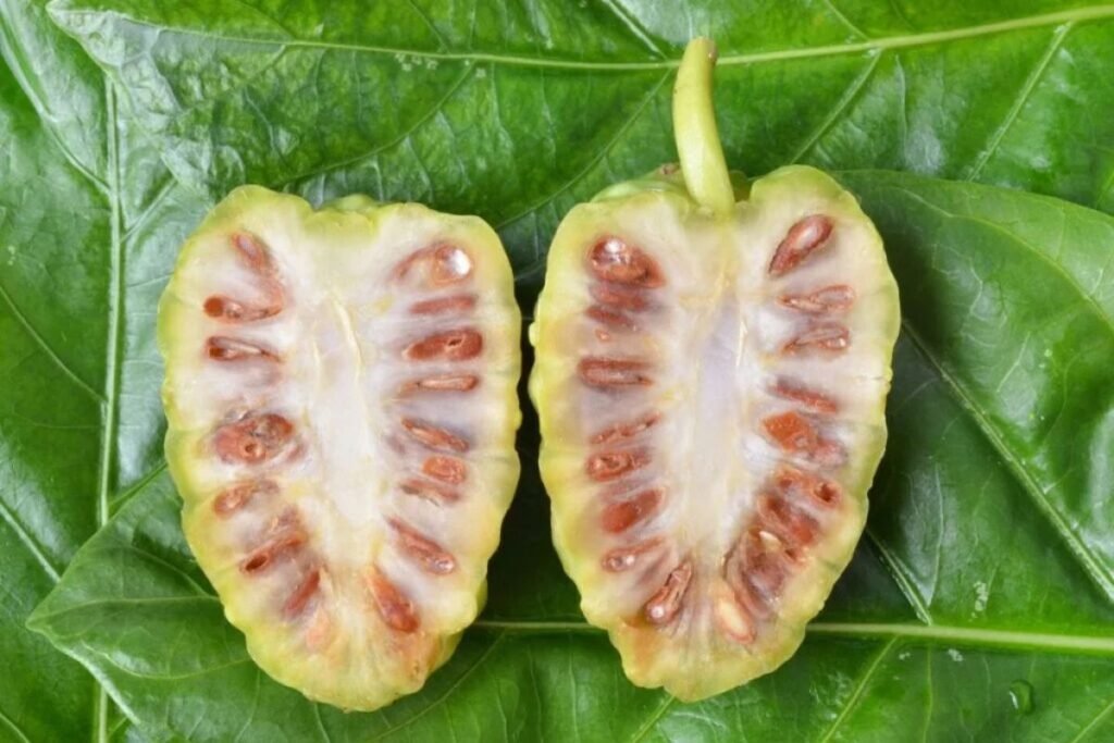 Benefits of Noni juice