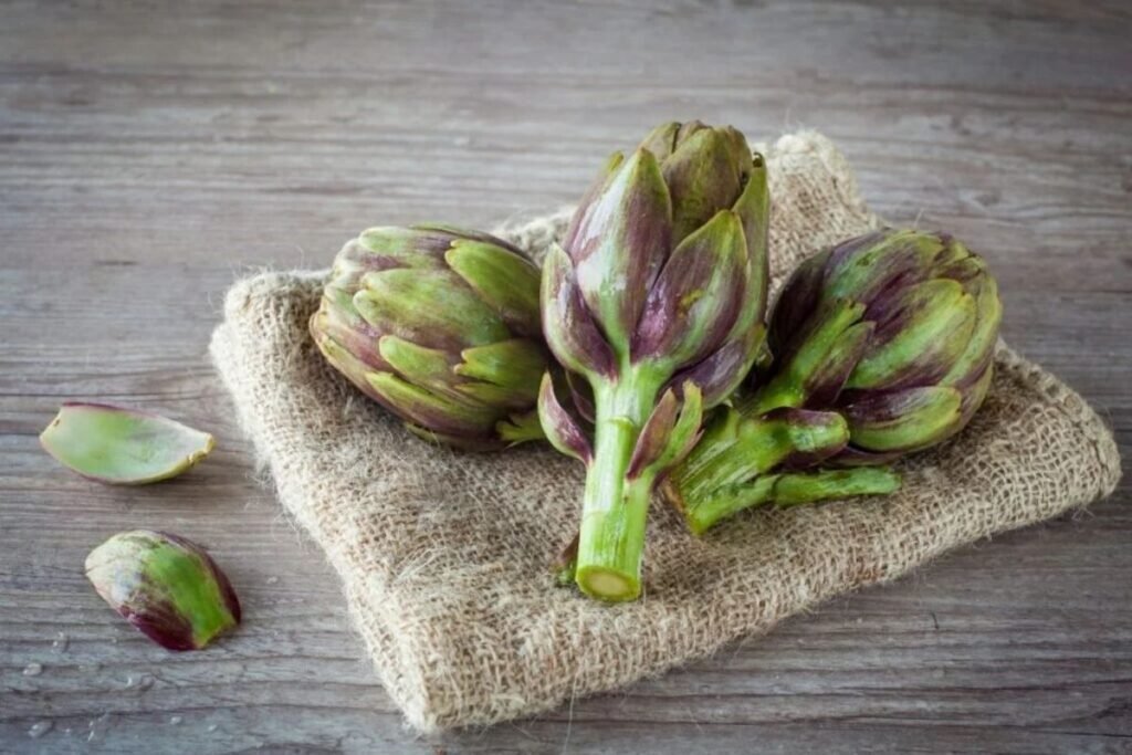 Artichoke heads for Artichoke juice