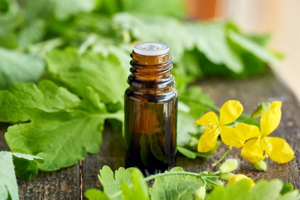 Celandine juice benefits