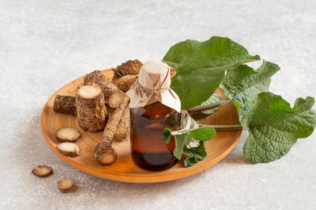 Burdock Juice Preparation