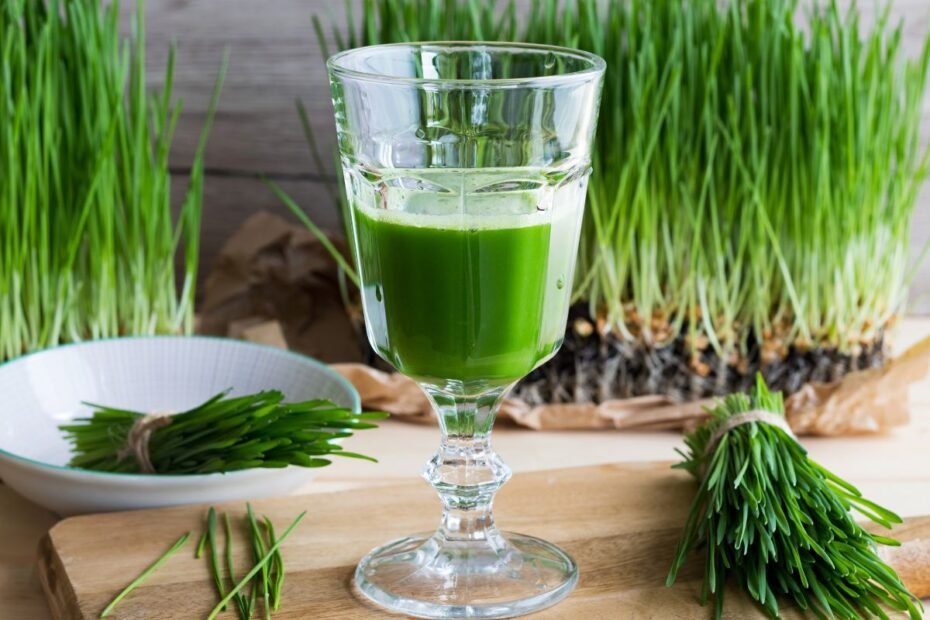 Wheatgrass juice - not only helps boost immunity but also gives you energy